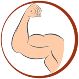 Biceps (Deltoid)