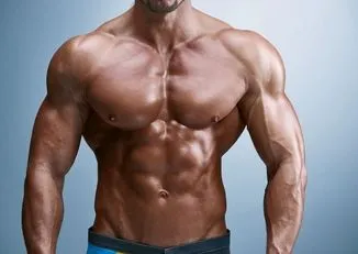 Chest